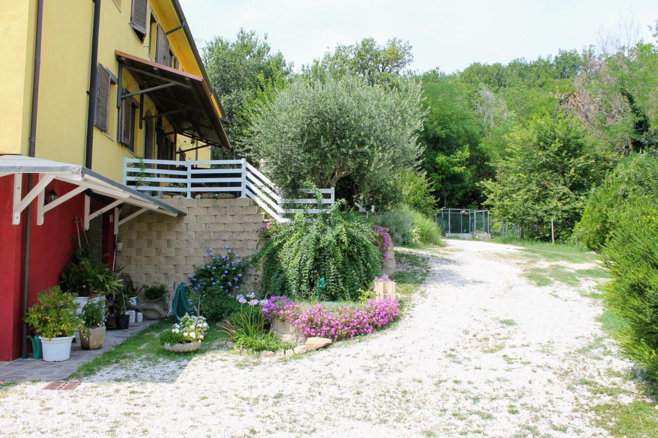 La Rupe Del Falco Monteciccardo Kültér fotó